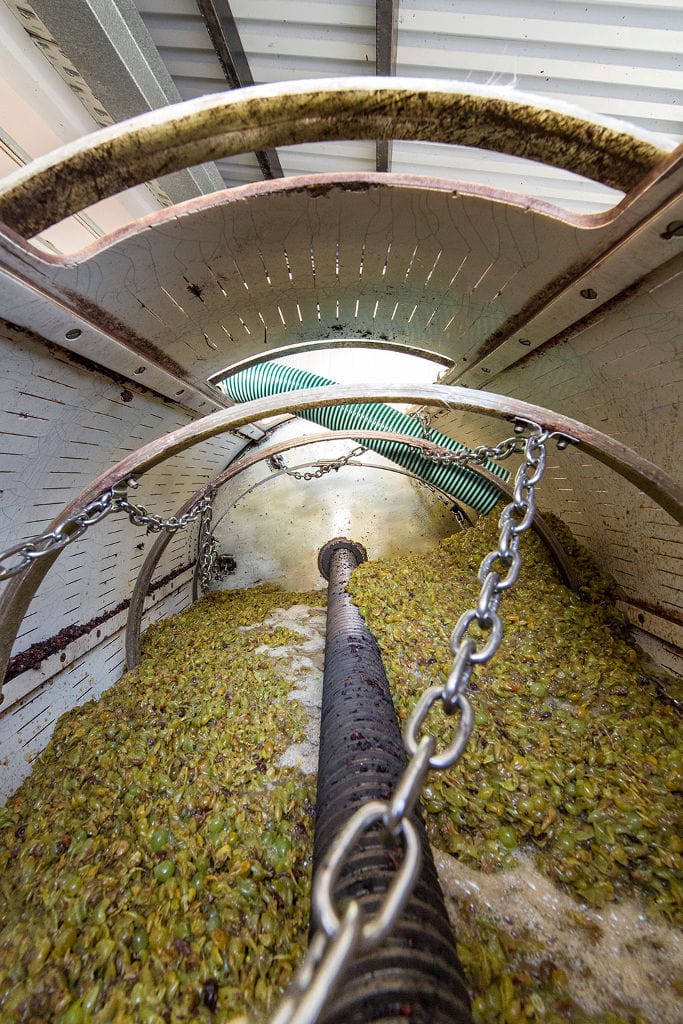 must 'pulp' and skins of black grapes into press machine at Vakakis Winery plant